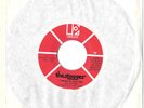 THE STOOGES i wanna be your dog ELECTRA LABEL  promo USA punk