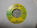 13th Floor Elevators ex original 7 You're Gonna Miss Me / Tried to Hide