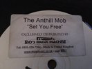 LISTEN - THE ANTHILL MOB - SET YOU FREE - RARE CLASSIC UK GARAGE RECORD-12