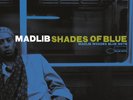 Madlib Shades of Blue 2 LP 180 Gram Blue and White Vinyl Hip-Hop Ltd Ed NEW PreO