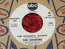 THE SHAKERS - One Wonderful Moment, 1967, Promo, soul