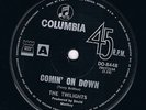TWILIGHTS comin' on down / tell me goodbye HEAR  VG+ 60s GARAGE beat MOD psych