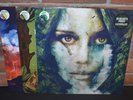 IN HEARTS WAKE - 3 LP LOT, IMPORT COLORED VINYL Skydancer Divination Earthwalker
