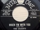 THE CHANTS black vinyl doowop 45 When I'm With You b/w Heaven & Paradise Fm648