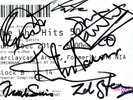The Who Fully Hand Signed Autographed Used 2014 Promoter Comp Concert Ticket