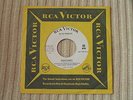 Elvis Presley ?– Roustabout - rare U.S. Promo- Listen