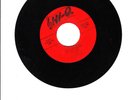 ROCKABILLY 45 ROY HALL'S ALLEY CATS DIG EVERYBODY/GO GO LITTLE QUEENIE HI-Q