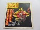 KATE BUSH ORIG 1977 ITALAIAN  45 WUTHERING HEIGHTS PICTURE SLEEVE