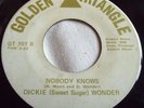 DICKIE (Sweet Sugar) WONDER   NOBODY KNOWS ** US GOLDEN TRIANGLE 45
