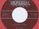 Majors 45 A Wonderful Dream 1962 R&B Rocker NM BB # 22 Canada Imperial 5855