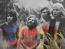 Evolution (LP) - TAMAM SHUD [LP]