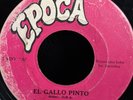 BUSH Gallo pinto / Gozador 45rpm 7