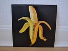 The Dandy Warhols – welcome to the monkey house 2003 – Vinyl - wie neu