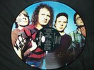 mudhoney - every good boy deserves fudge - limited 215/275 signed picture disc