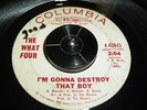 60s  Garage Teenbeat  The WHAT FOUR I'm Gonna Destroy That Boy (Columbia)
