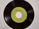 The SCEPTRES Super RARE 60's Gararge ROCK Rare Chicago ORLYN label.