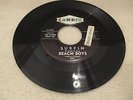The Beach Boys Surfin' / Luau 1961 45 Candix