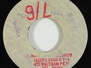 Lloyd Robinson/Lloyd Charmers 