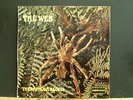 THE WEB  Theraphosa Blondi   LP  Jazz Blues Prog Rarity   COVER ONLY