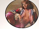 PETER FRAMPTON MINT PICTURE DISC I'm In You PROMO