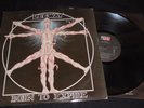 LEEWAY Born to expire Lp vinyl 1st US press PROFILE 1988 thrash hard core
