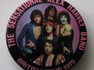 THE SENSATIONAL ALEX HARVEY BAND UK TOUR 1975 VINTAGE METAL PIN BADGE SAHB RETRO