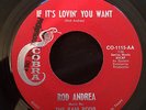 ROD ANDREA If It's Lovin' You Want COBRA Northern Soul Mod R&B LISTEN