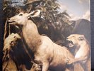 Interpol Our Love To Admire Rare Double Vinyl Gatefold LP