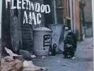 FLEETWOOD MAC 