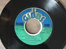 Dennis Brown & Dhaima - A True, 7