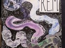 R.E.M. ?– Reckoning, Vinyl, LP, Album 12 “, 33 RPM