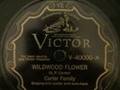 Victor 40000- THE CARTER FAMILY- Wildwood Flower/Forsaken Love 78rpm E/E-