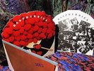 SCARCE 1973 DIE CUT ORIG LP = THE RASPBERRIES = POWER POP BEATLES WHO BIG STAR