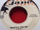 Ray Willis - Whatta You Do (Rockabilly Original)