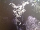 JOHN SQUIRE(STONE ROSES)-TIME CHANGES EVERYTHING-ORIGINAL DOUBLE LP-RARE