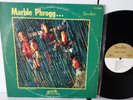 VG/VG- Marble Phrogg . . . Private garage psych fuzz Holy Grail Oklahoma (1968)