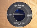 THE RELATIVES: Don't Let Me Fall, Hosanna Records, RARE Texas Gospel Psych 45