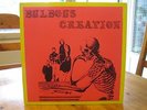 BULBOUS CREATION - You Won't Remember...,Orig.US Hard Prog Psych,Rockadelic 1994