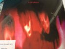 The Cure Pornography LP Vinyl 180gram Download Code Remastered
