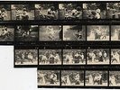 Bee Gees Vincent Price Cucumber Castle 1969 Contact Sheet #0651 DEF
