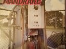 MANDRAKE S/T SEALED  hard rock/psychedelic  LP/Crazy Cajun Records