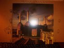 Pink Floyd Animals Mint Con.Record LP Album Vinyl(p) Blue/White Mirror Finish