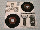 Halo of Flies - Rubber room HOF 45-02 Extremely rare, 0/ 200 mint 7