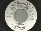 GARAGE MOD-  PRIMITIVES-w/ LOU REED - THE OSTRICH  -HEAR  -1964 PICKWICK CITY