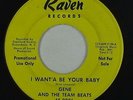 Northern Soul 45 - Gene & The Team Beats - I Want'a Be Your Baby - Raven - mp3