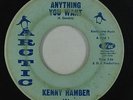 Northern Soul 45 - Kenny Hamber - Anything You Want - Arctic - mp3