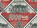 Quantic Presents Flowering Inferno - 1000 Watts [2LP]  VINYL LP NEW