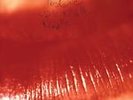 NEW - Kiss Me, Kiss Me, Kiss Me (2LP 180 Gram Vinyl) by The Cure