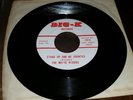 C&W 45: WHITE RIDERS-Stand Up And Be Counted/ Dixie-BIG-K 1915-NM