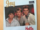 HELLO - JOY / LP VINYL 12